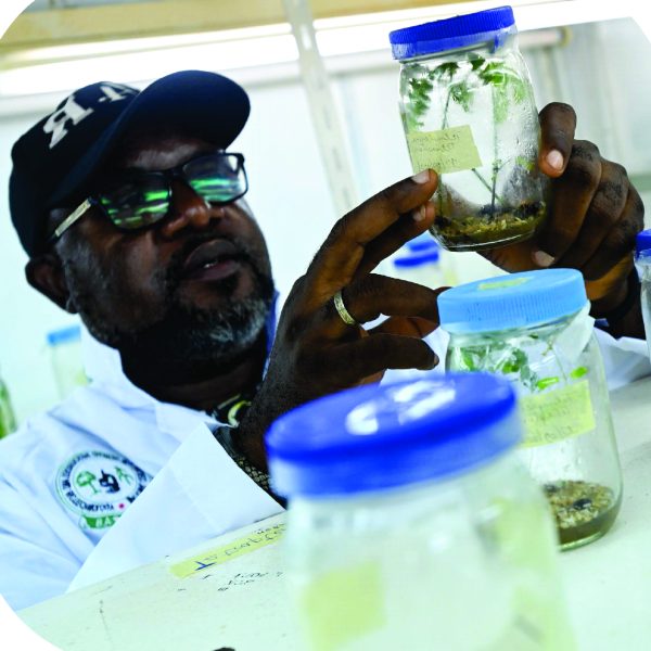 Biotechnology